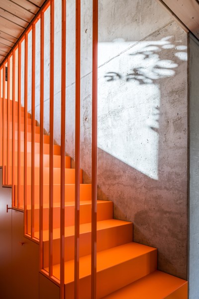 Treppengestaltung at it´s best in Kombination mit Sichtbetonwand und einer Holzdecke
